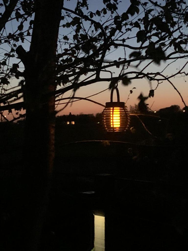 Plattedijk 2.0 by night met lamp in boom