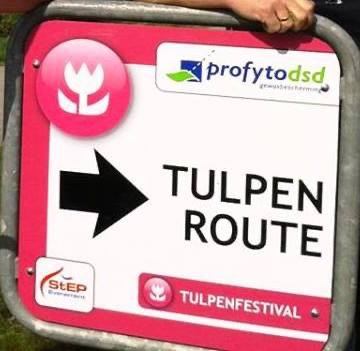 tulpenroute vanuit vakantiehuisjeinlemmer