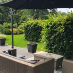 Uitzicht op de grote tuin van vakantiehuisje Plattedijk 1.0