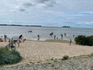 Hondenstrand2026 - vakantiehuisjeinlemmer.nl - vakantiehuisjeinlemmer.nl Een eigen strand voor de hond, lekker pootje baden of zwemmen met andere vrienden